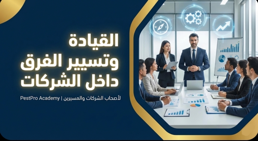 القيادة وتسيير الفرق داخل الشركات